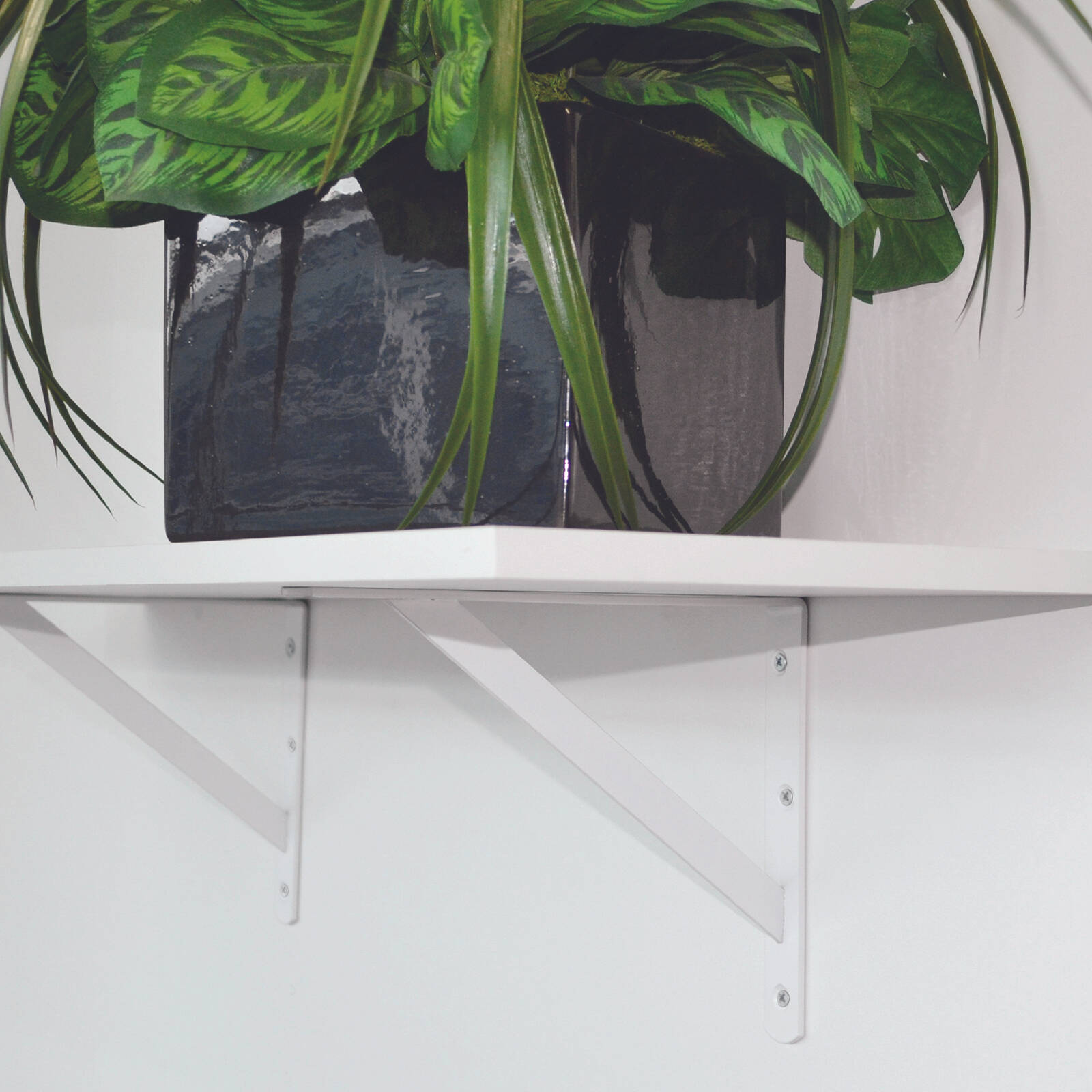 Carinya 250 x 200mm White Heavy Duty Straight Stayed Bracket 175kg