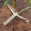 Jack 50mm x 33m Jute Webbing Plant Tie - Indoor & Outdoor