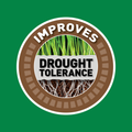 Munns Professional 1L Root Regenerator Liquid Soil Improver Concentrate
