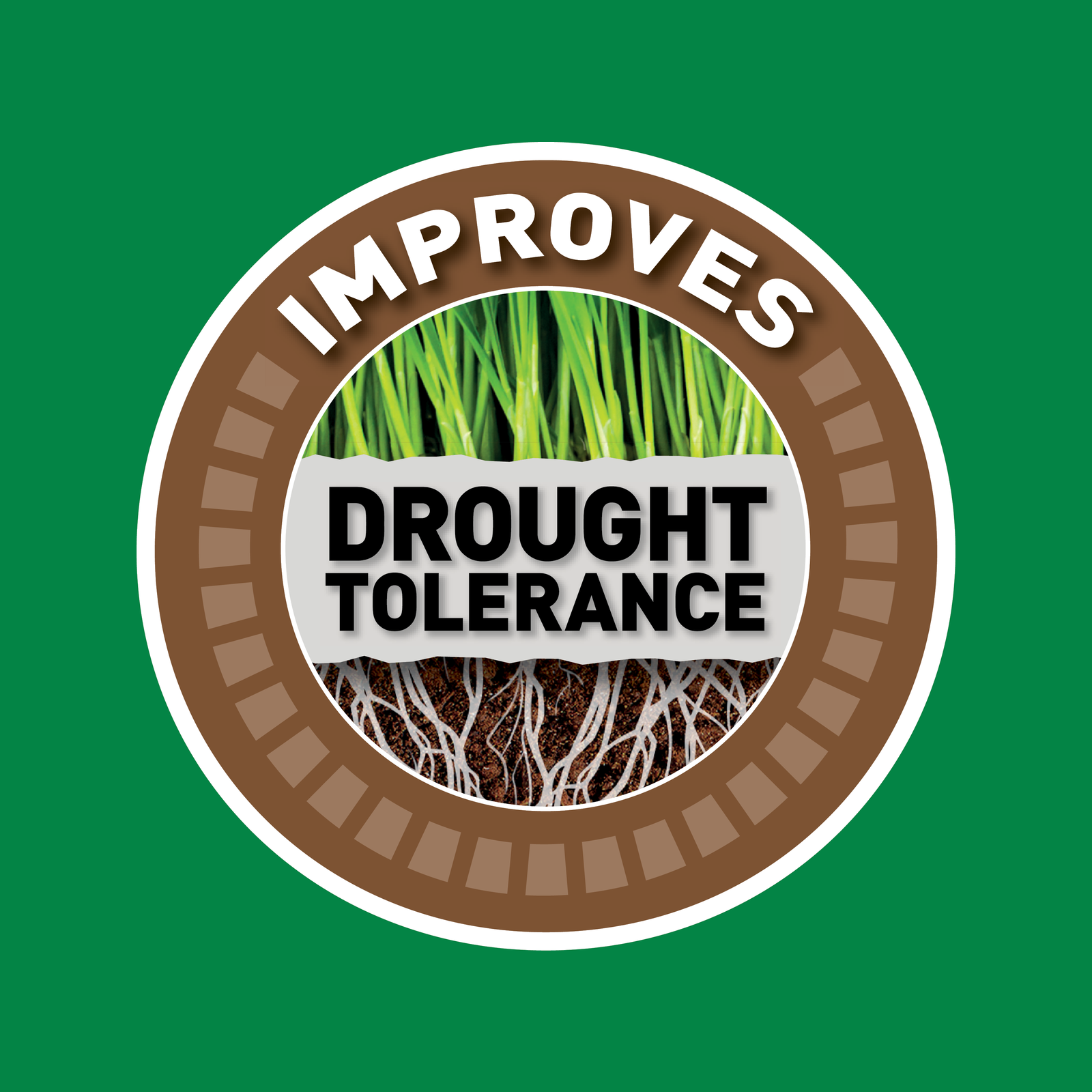 Munns Professional 1L Root Regenerator Liquid Soil Improver Concentrate