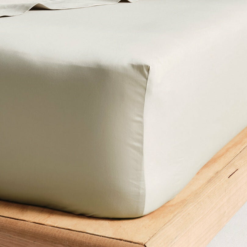 Linen House Augusta Queen Fitted Sheet 50cm - 500 Thread Count, 100% Cotton, Taupe - 01841F730