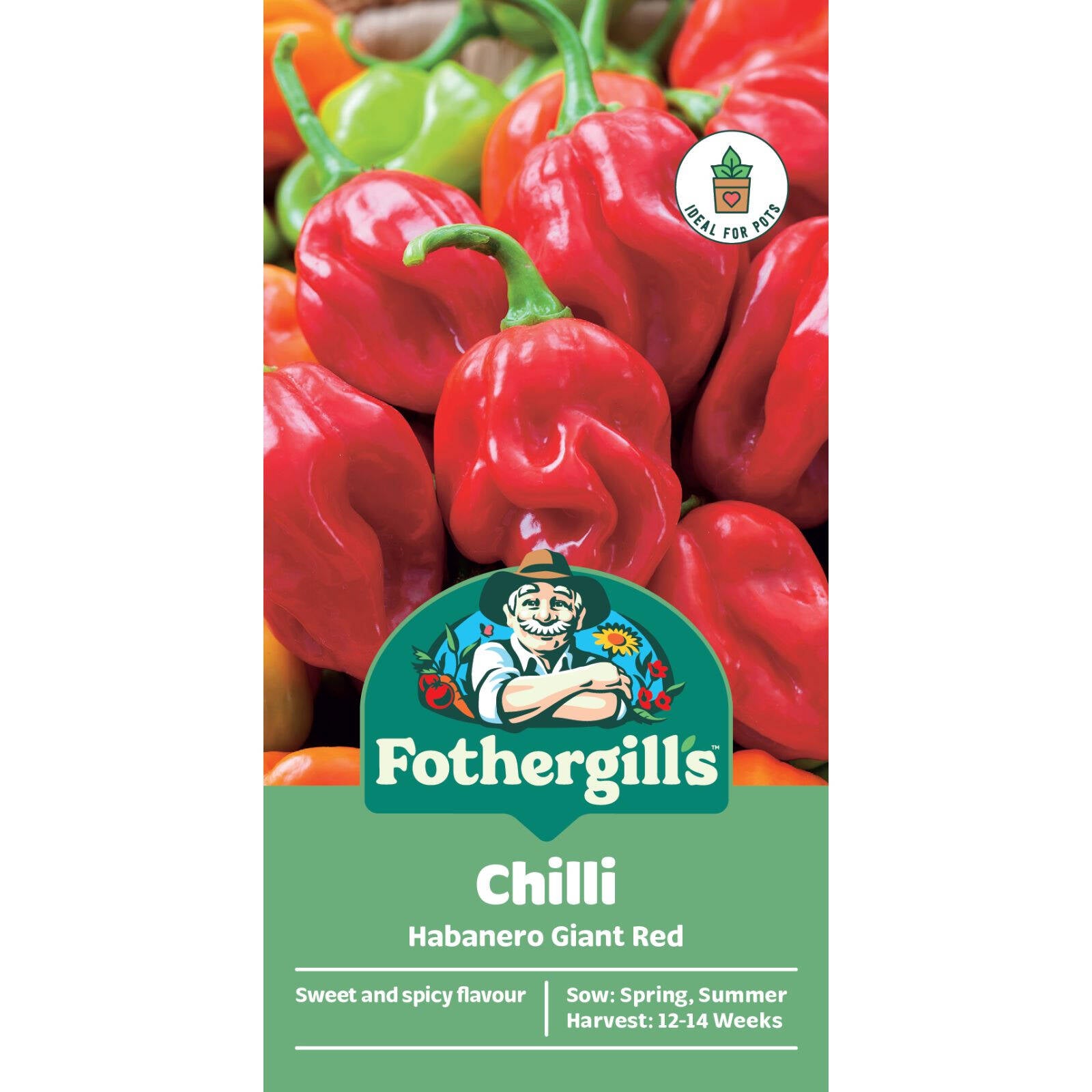 Mr Fothergill's Chilli Habanero Giant Red Seeds