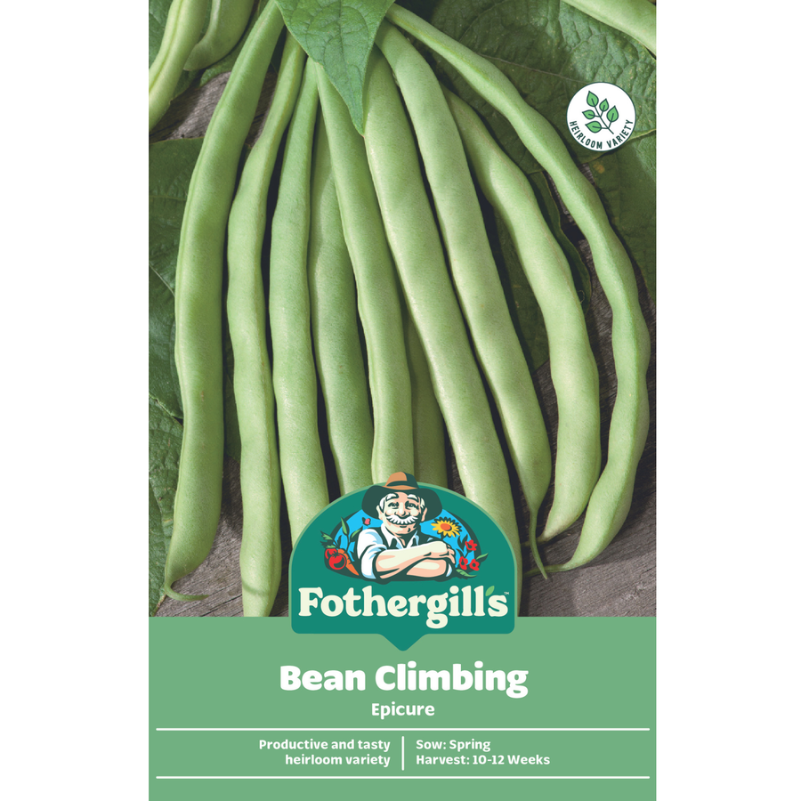 Mr Fothergill's Epicure Climbing Bean Seeds - Stringless Heavy-Cropping Variety, 200cm