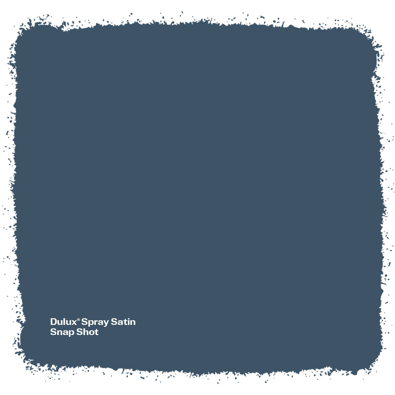 Dulux 340g Snap-Shot Satin Spray Paint