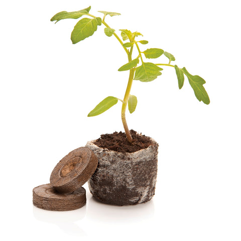 Mr Fothergill's 36mm Jiffy Peat Pellets, 36 Pack