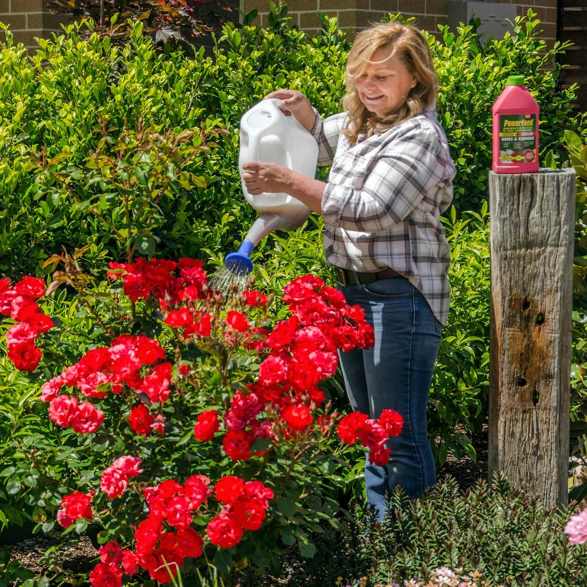 PowerFeed Pro Series Roses and Flowers Concentrate 1.2L - Brown - SuperSaverAU - view 3