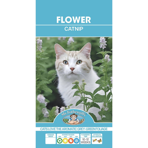 Mr Fothergill Catnip Seeds - Easy To Grow - 75mm - Fragrant Foliage - SuperSaverAU - view 1
