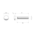 Zenith Cup Head Bolt - M12 x 75mm - Stainless Steel 304 - Rust Resistant - SuperSaverAU - view 2