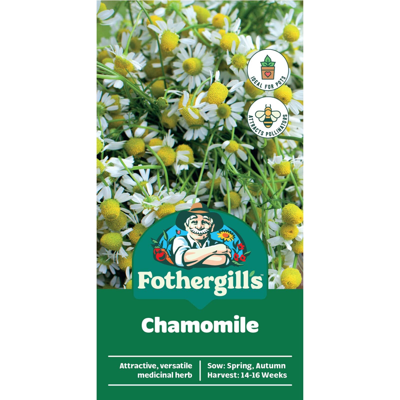 Mr Fothergill's Chamomile Seeds, Daisy-Like Blooms for Soothing Tea, Sun or Part Shade