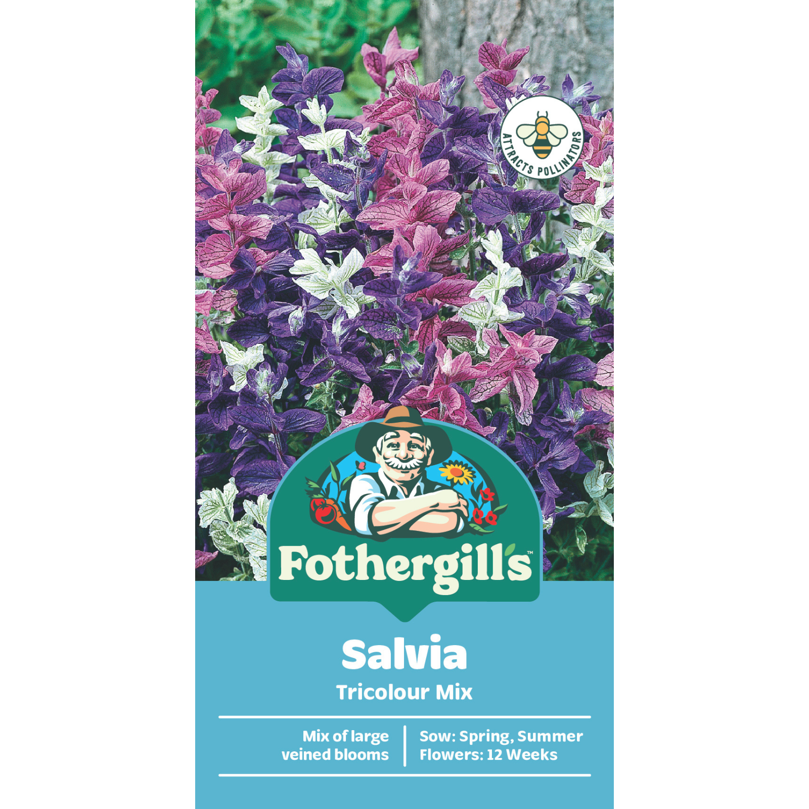 Mr Fothergill's Salvia Tricolour Mix Flower Seed
