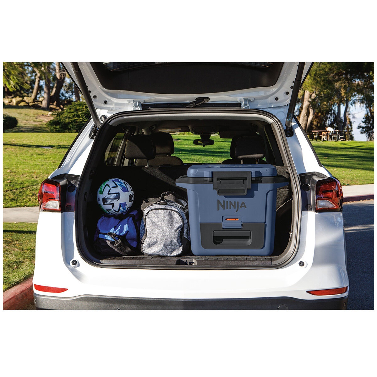 Ninja 28L FrostVault Hard Cooler with Dry Zone - Lakeshore Blue, Lockable Lid, Fits 48 Cans - FB131BL