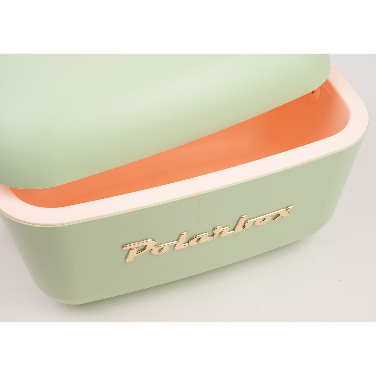 Polarbox Gold Logo 20L Cooler - Sage Finish - Thermal Insulation - Leather Strap - PLBG20S