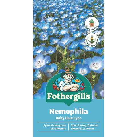 Mr Fothergill's Nemophila Baby Blue Eyes Flower Seeds - Dwarf Sky-Blue Annual, 15cm