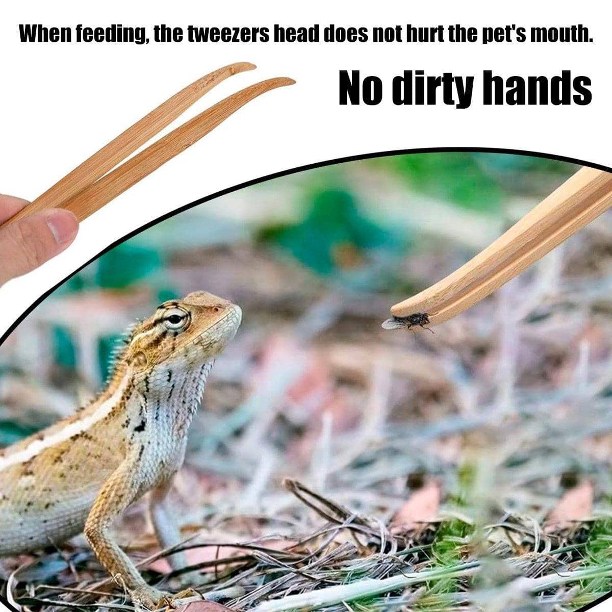 Bamboo Feeding Tweezers for Reptiles and Crawlers, 16.5 cm - view 5
