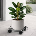 Eden 30cm Heavy Duty Round Pot Plant Trolley, Metal, 50kg Capacity, Indoor & Outdoor