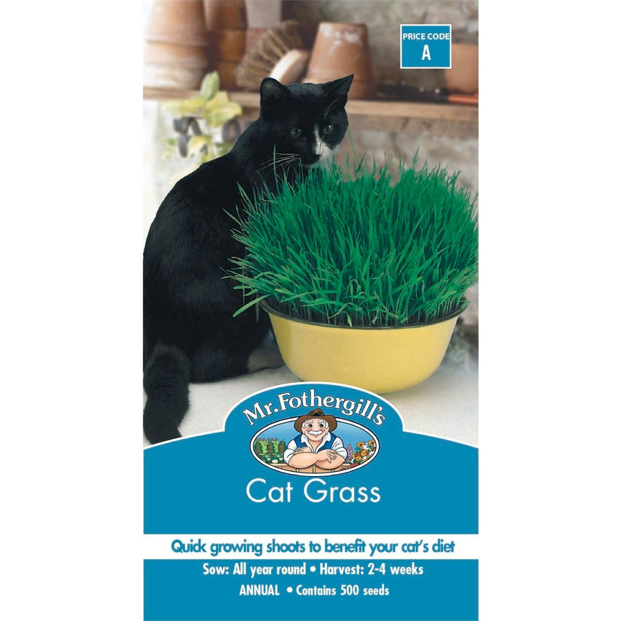 Mr Fothergill Cat Grass Seeds - Quick Grow - 75mm - Aids Digestion - SuperSaverAU - view 1