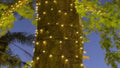 Lytworx 240 Connectable Heavy Duty Fairy Lights 23.9m Warm White - SuperSaverAU - view 5