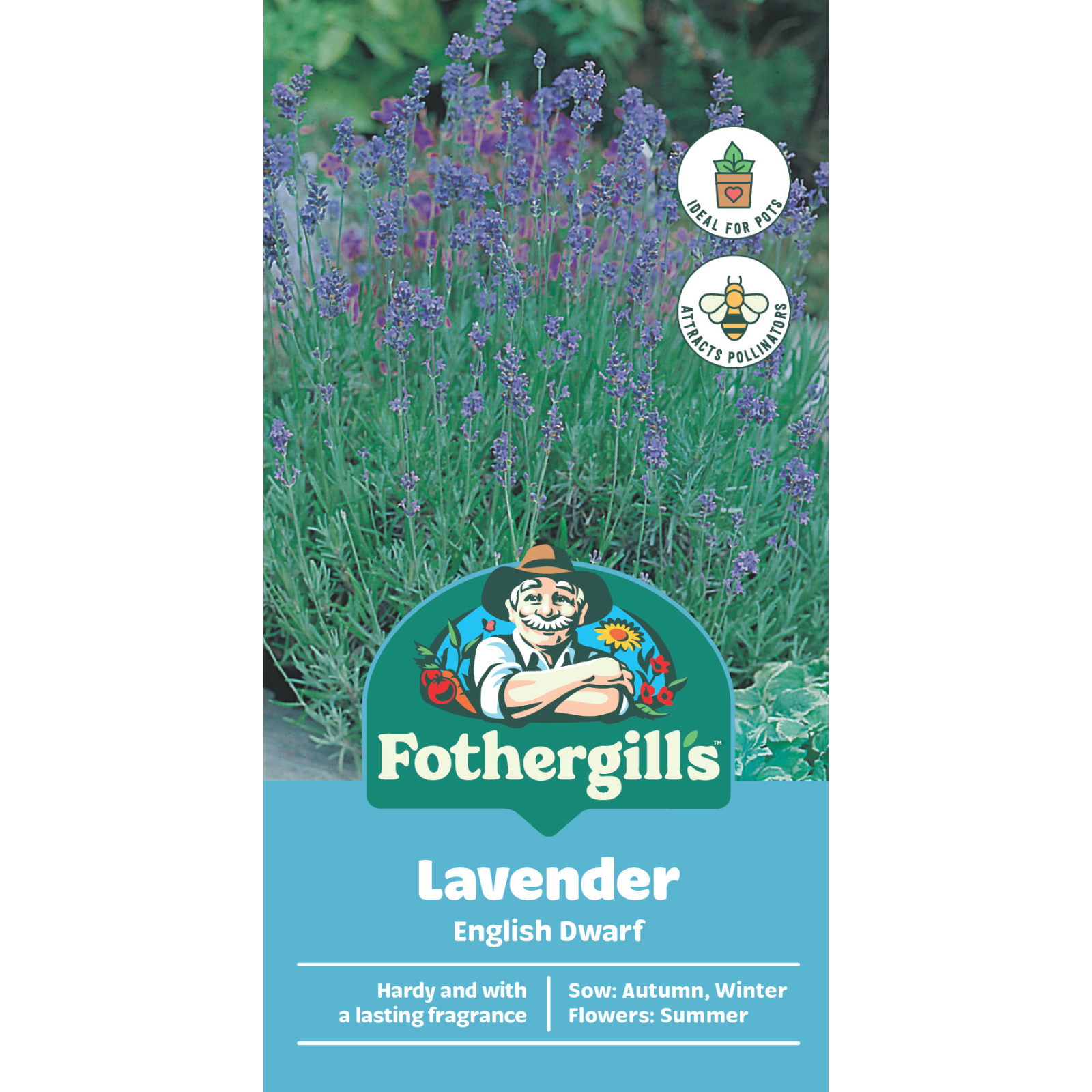 Mr Fothergill's English Dwarf Lavender Flower Seeds for Hedging & Edging