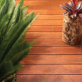 Feast Watson Wet Look Decking Oil 4L - Water Based, UV Resistant, Waterproof Clear Decking Oil