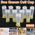 Bee Queen Cell Cups, Anti-Bite Protective Covers for Beekeeping, Pack of 30