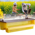 Beehive Pollen Trap Collector Box, Yellow Plastic Beekeeping Tool for Hive Entrances - view 5