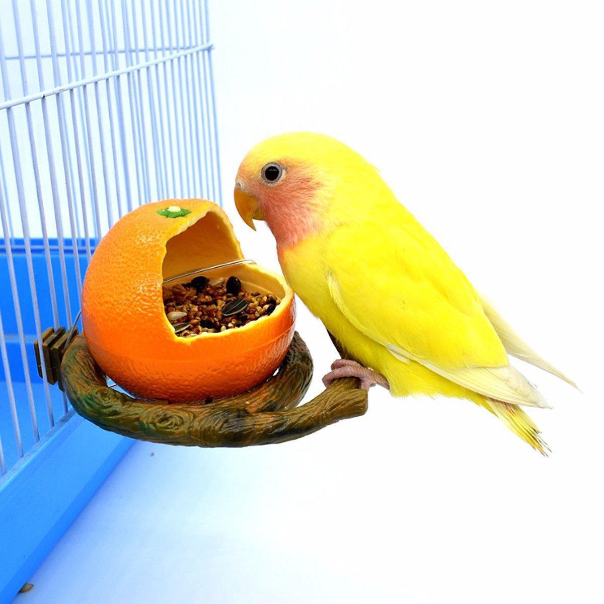 Bird Feeding Bowl with Cage Clamp - Corn - view 8