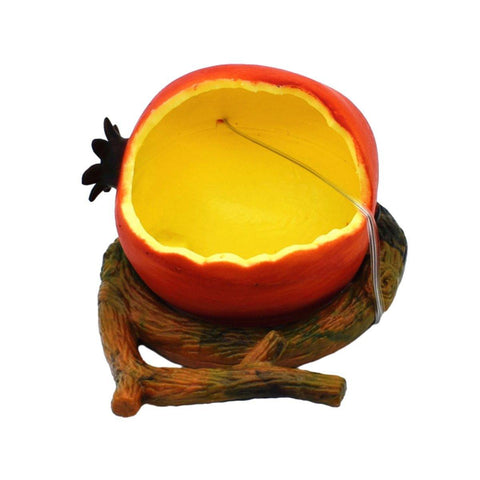Bird Feeding Bowl with Cage Clamp - Pomegranate