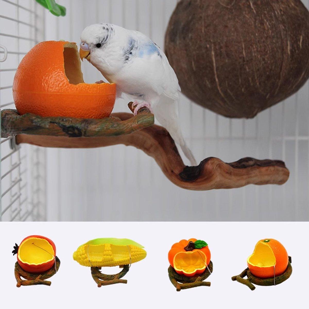 Bird Feeding Bowl with Cage Clamp - Pomegranate - view 11