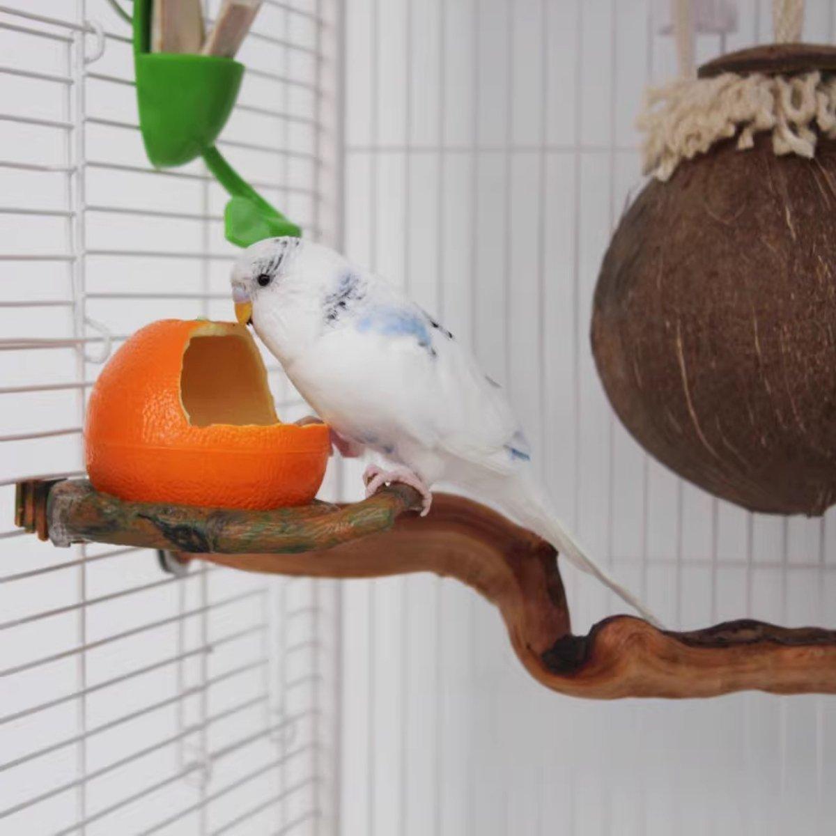 Bird Feeding Bowl with Cage Clamp - Pomegranate - view 12