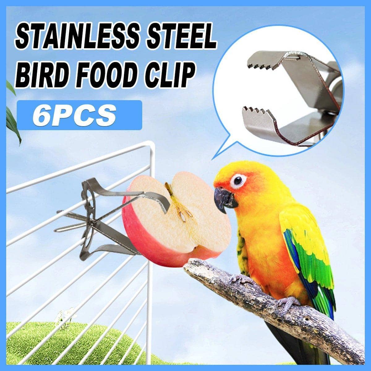 Bird Food Clips Stainless Steel, Pack of 6