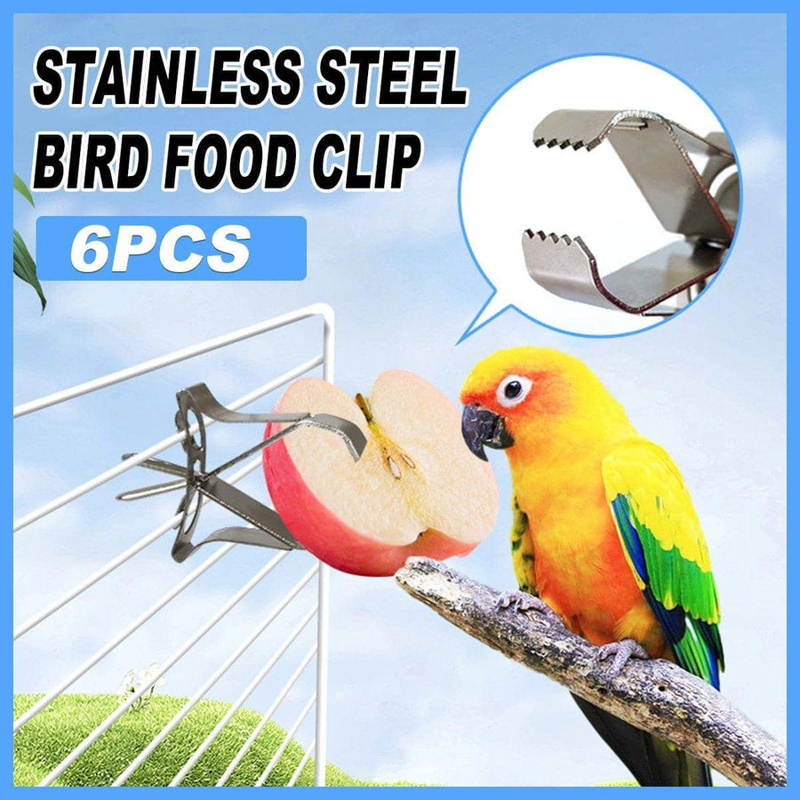 Bird Food Clips Stainless Steel, Pack of 6