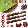 Bird Spikes Fence and Ledge Deterrent Strips - Brown, Pack of 12