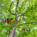Bird Window Suncatcher, Stained Glass Style - 7 Birds on a Wire - view 5