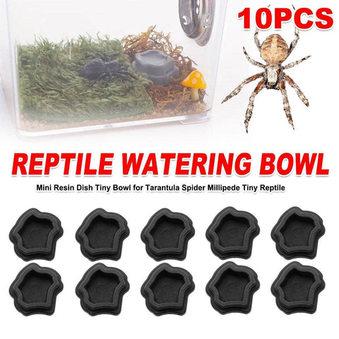 Black Reptile Water Bowl, Mini Resin, 2.6cm - Pack of 10