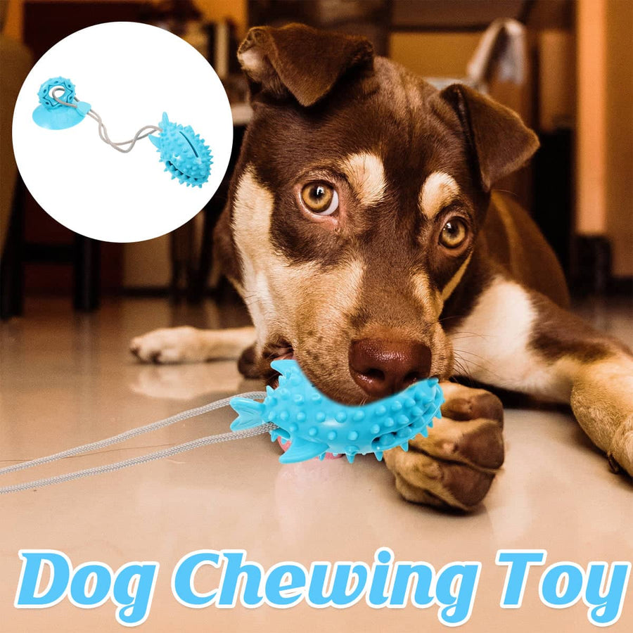 Blue Shark Dog Chew Toy with Suction Cup and Rope