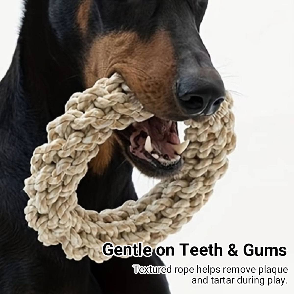 Braided Rope Pet Chew Ring - 1 Piece, Random Colour - view 4