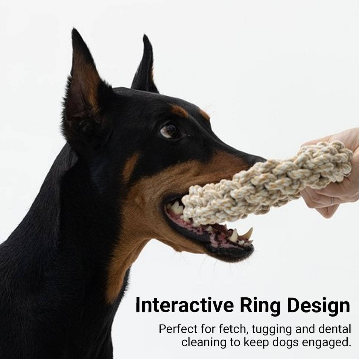 Braided Rope Pet Chew Ring - 1 Piece, Random Colour - view 5