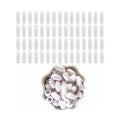 Breakaway Plastic Clasps for Silicone Bead Necklace Lanyard - White, Pack of 20