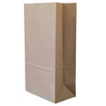 Brown Kraft Paper Food Bags, Pack of 100 - True Co