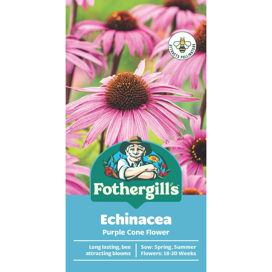 Mr Fothergill's Echinacea Purple Cone Flower Seeds - Hardy Perennial for Sun & Part Shade