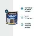 Taubmans 2L Neutral Gloss Water Based Enamel Paint - 2L - Grease Resistant, Low VOC - SuperSaverAU - view 2
