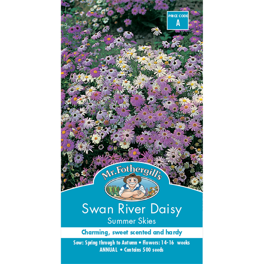 Mr Fothergill S Swan River Daisy Seeds - 30cm - Summer Sky - Charming Flowers - SuperSaverAU - view 1