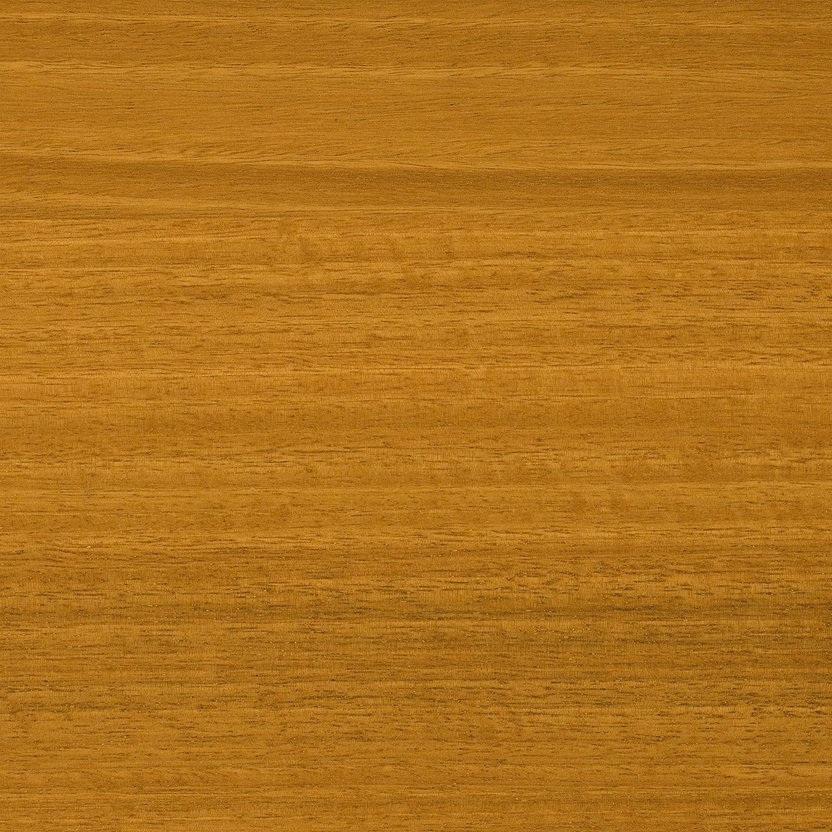 Feast Watson Matt Look Decking Oil 250ml Water Based Natural Finish - SuperSaverAU - view 2