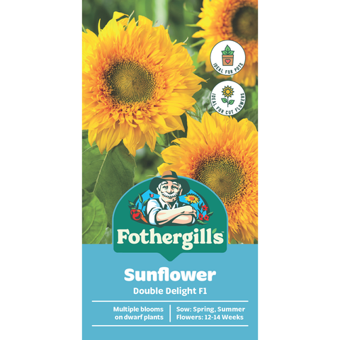 Mr Fothergill's Sunflower Double Delight F1 Seeds - Pollen-Free Double Blooms, Sun & Part Shade
