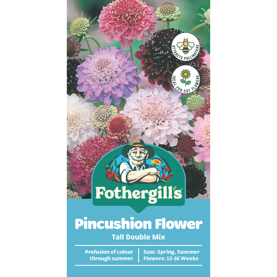 Mr Fothergill's Pincushion Scabious Mixed Flower Seeds, 90cm, Sunny