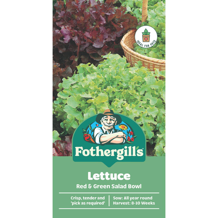 Mr Fothergill's Red & Green Salad Bowl Lettuce Seeds - Non-Hearting, Sun or Part Shade