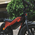 Flight Risk FR101 E-Bike for Ages 4 and Up - 16 Inch Frame, 250W Motor, 36V 10Ah Battery - FR-101BLACK