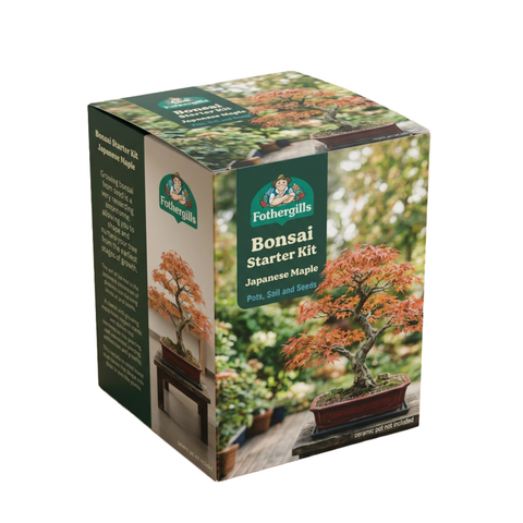 Mr Fothergill's Maple Bonsai Kit