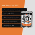 White Knight Rust Guard 1L Grey Quick Dry True Bite Water-Based Primer Paint for Metal