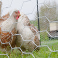Jack Galvanised Steel Bird Netting 300 x 13mm 50m Permanent